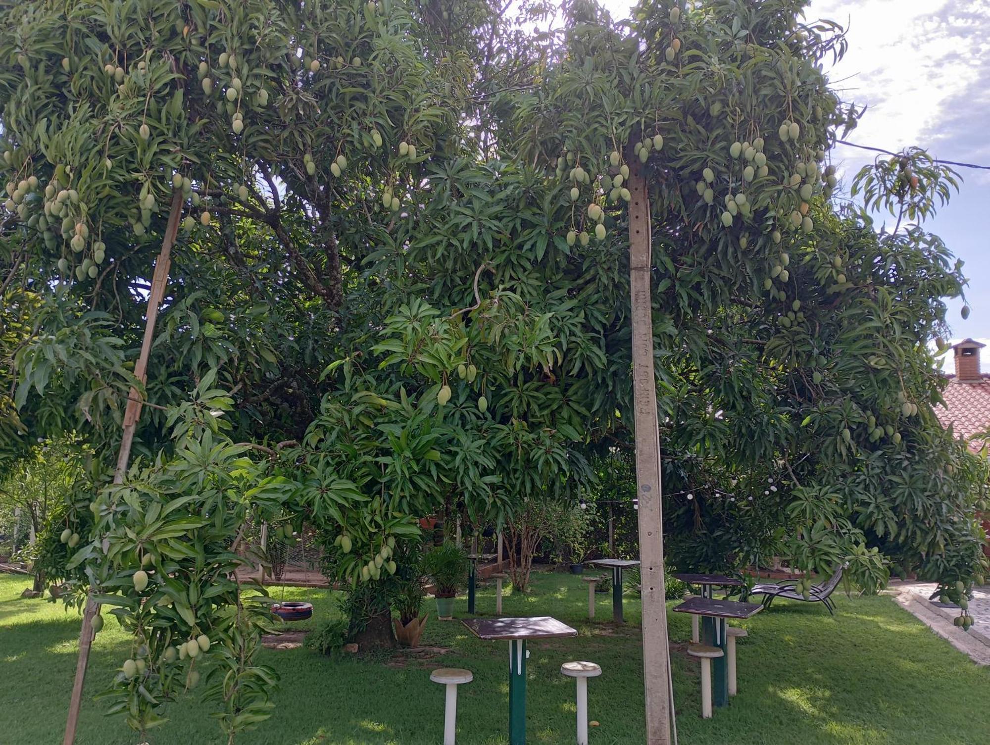 Pousada Chacara Vivalli Holambra Exterior photo