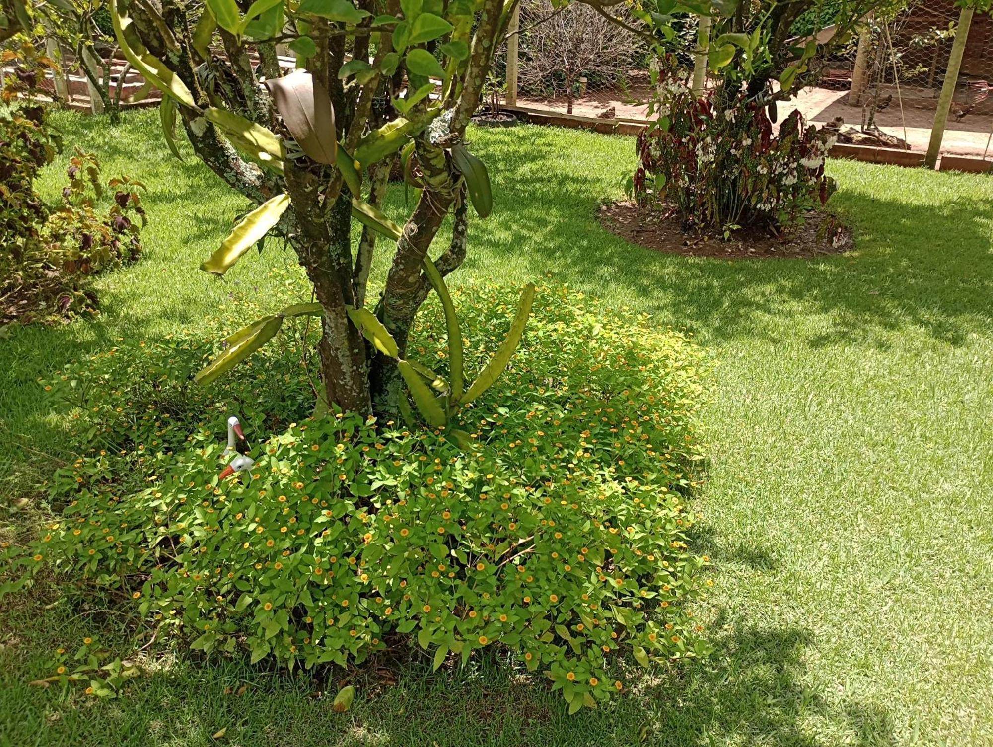 Pousada Chacara Vivalli Holambra Exterior photo